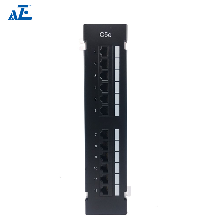 1U 12-Port CAT5e UTP Mini Patch Panel- Wall Mount