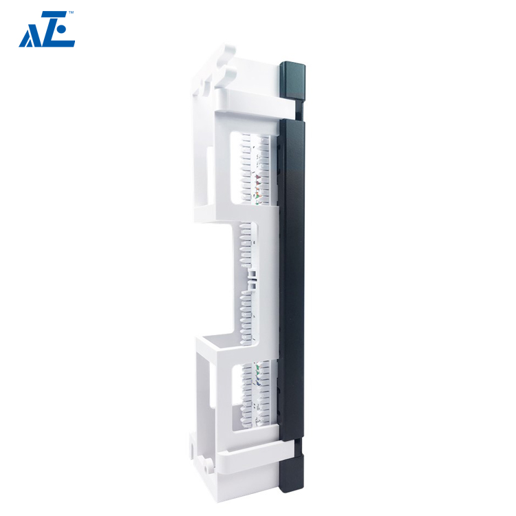 1U 12-Port CAT5e UTP Mini Patch Panel- Wall Mount